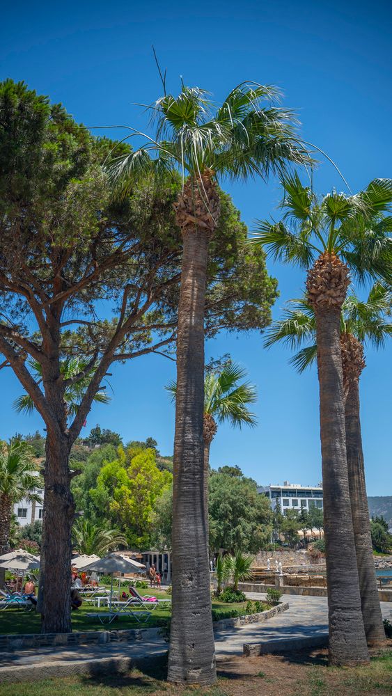 Картинка отеля - 3