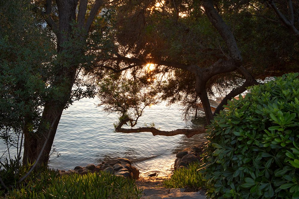 DoubleTree by Hilton Bodrum Isil Club Resort - 40