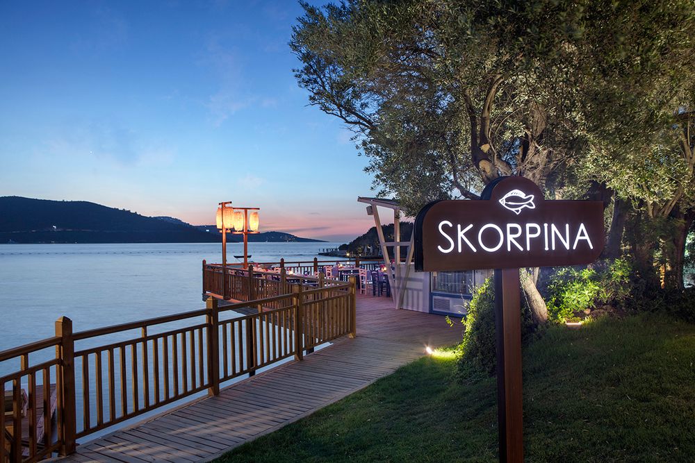 Картинка отеля - 26