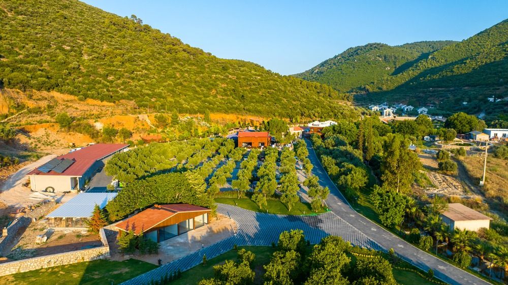 Картинка отеля - 38