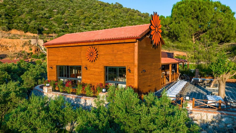 Картинка отеля - 35