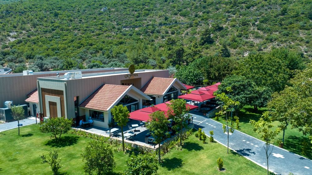 Картинка отеля - 25