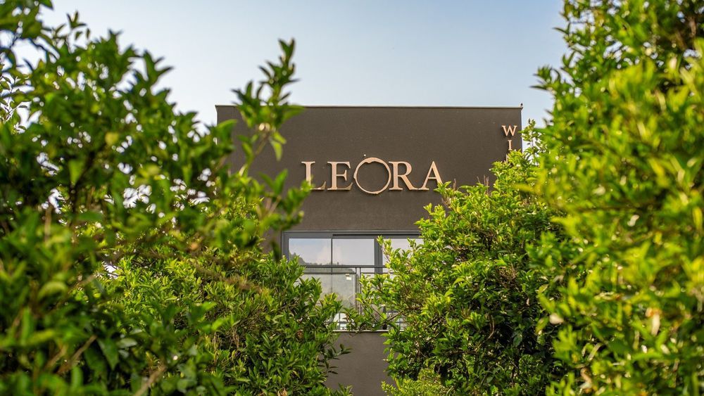 Картинка отеля - 17