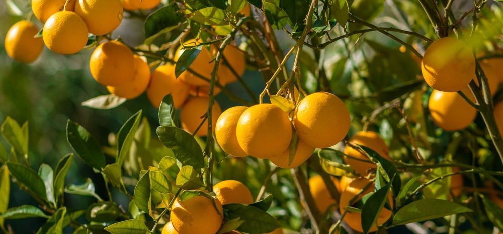 Картинка отеля - 7