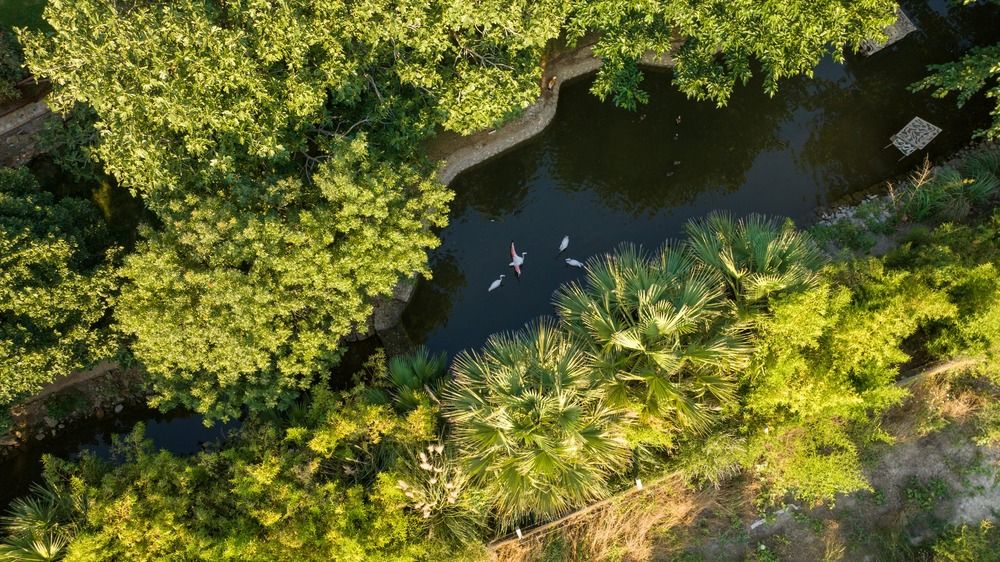 Картинка отеля - 6