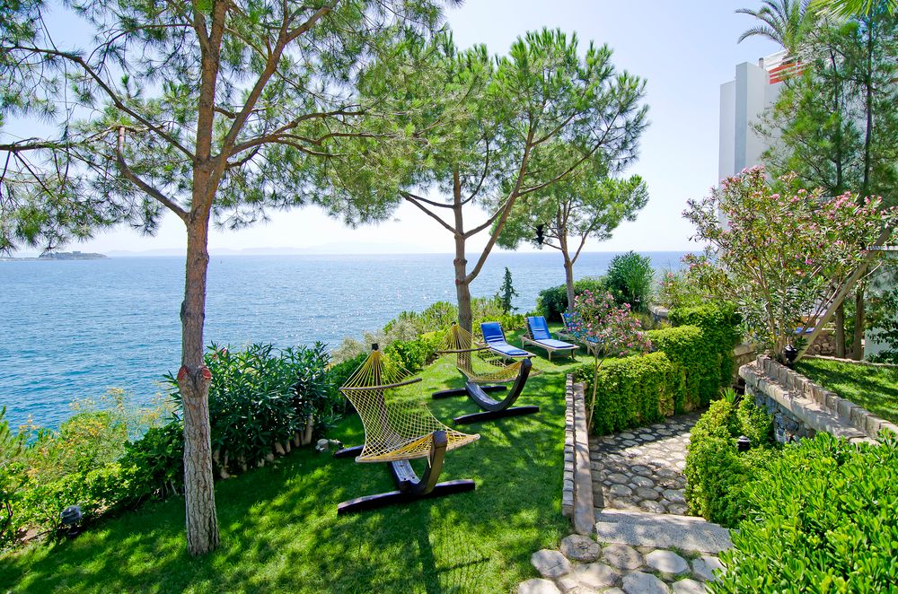 Картинка отеля - 16