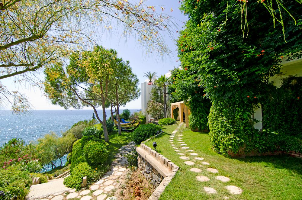 Картинка отеля - 12