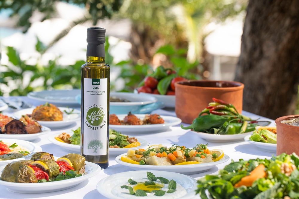 Hapimag Sea Garden - 32