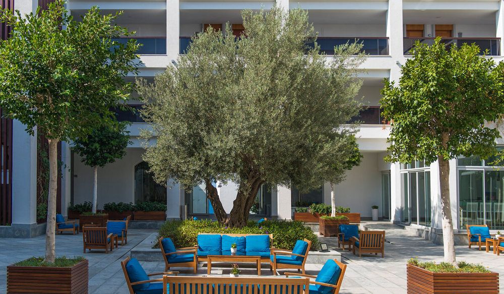 Картинка отеля - 4