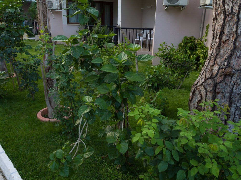 Mg Club Akman Beach - 27