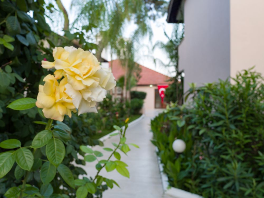 Картинка отеля - 25