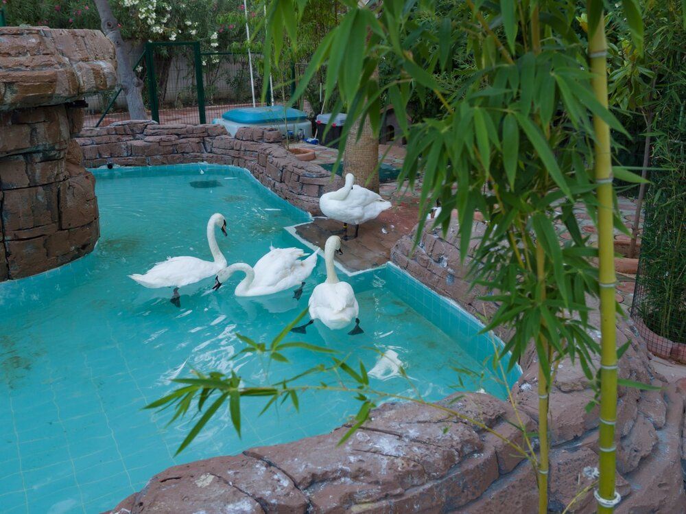 Mg Club Akman Beach - 24