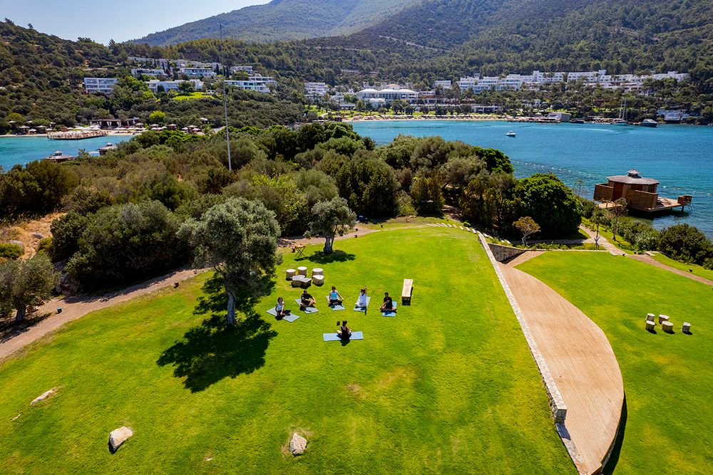 Картинка отеля - 120