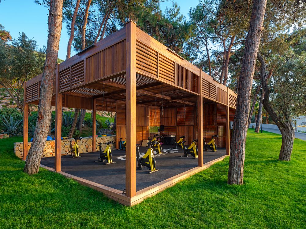 Картинка отеля - 113