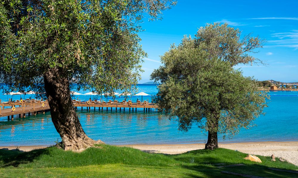 Rixos Premium Bodrum (Upgrade Imperial Service) - 21