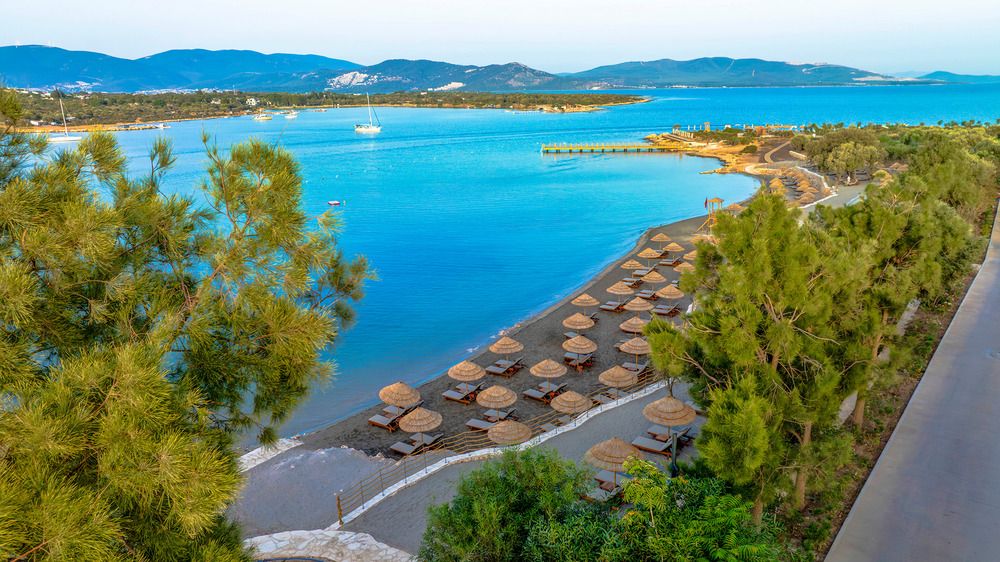 Картинка отеля - 14