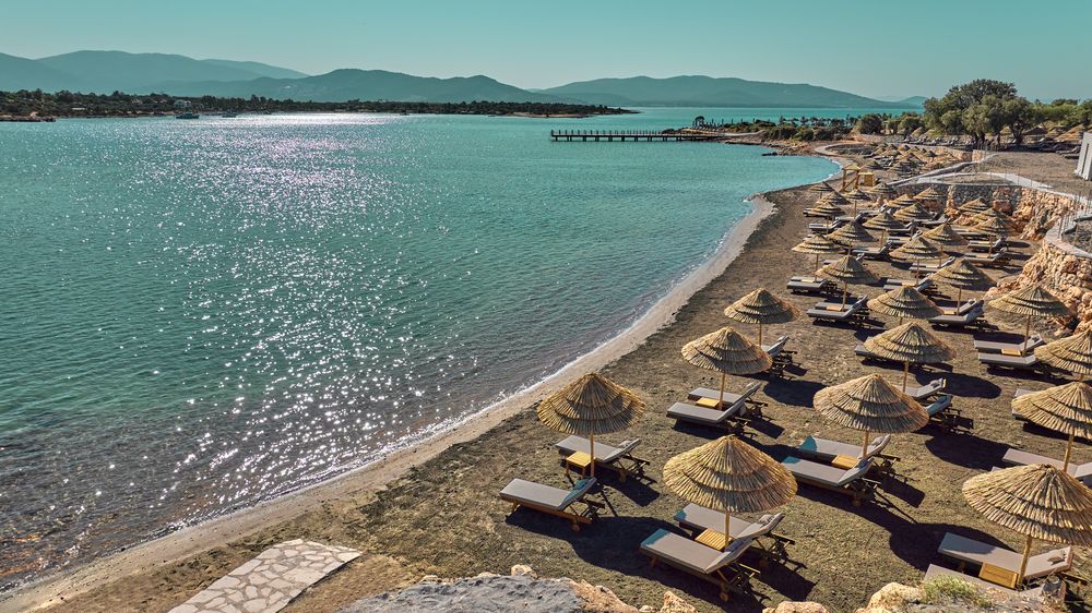 Картинка отеля - 10