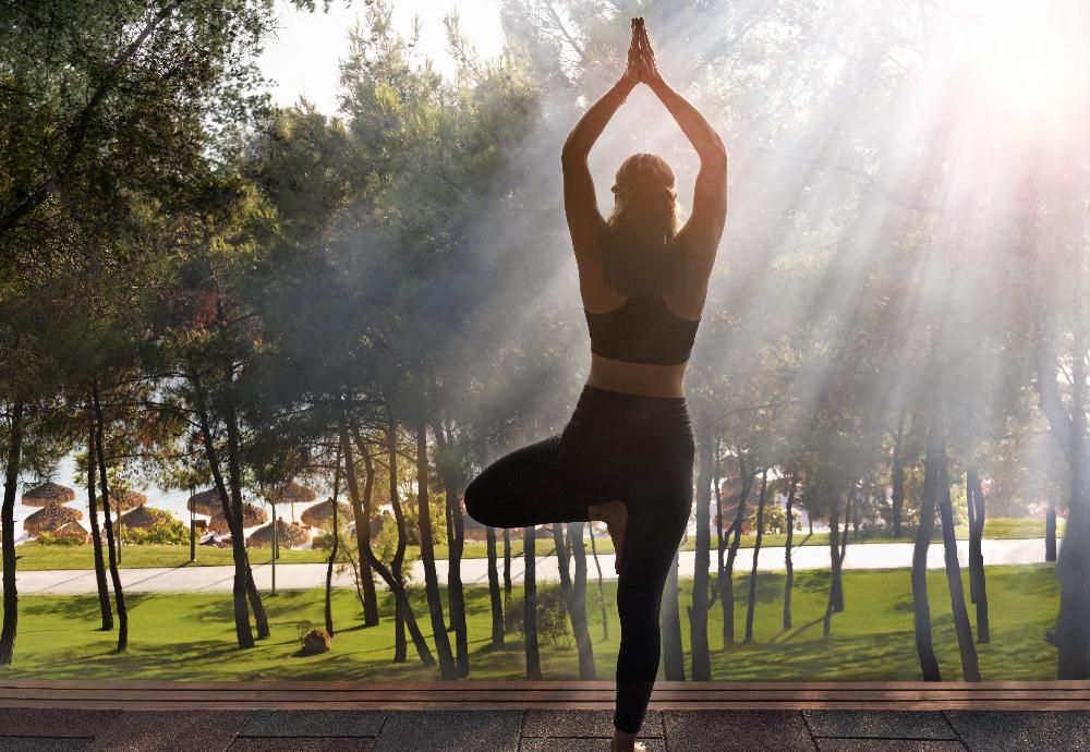 Картинка отеля - 74