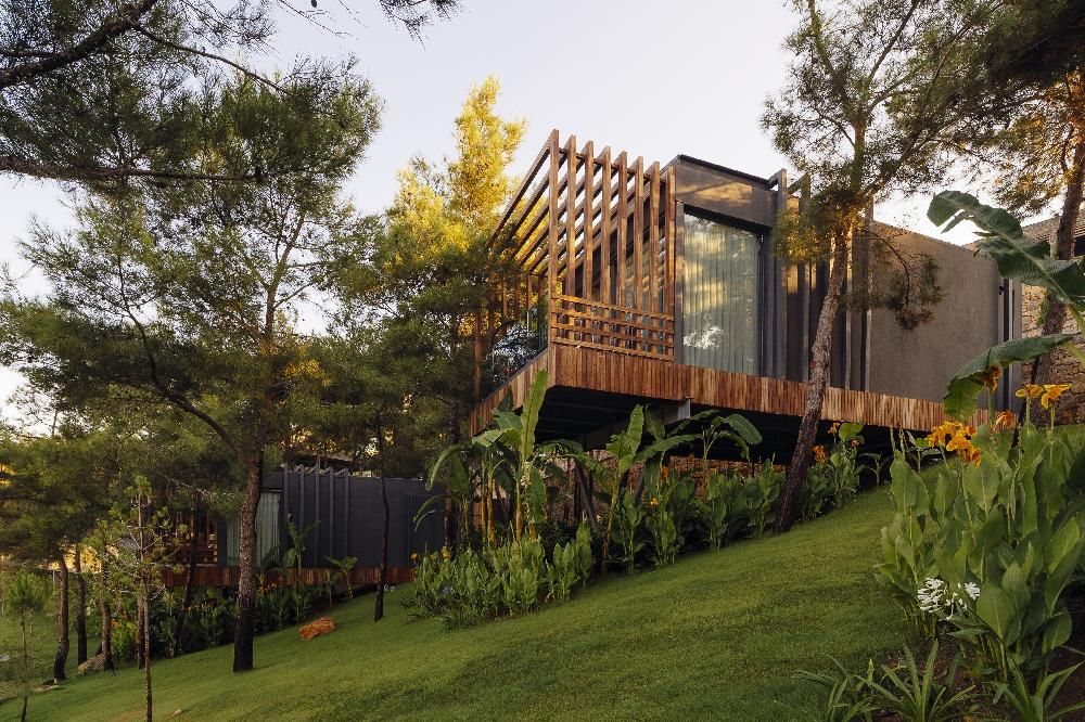 Картинка отеля - 58