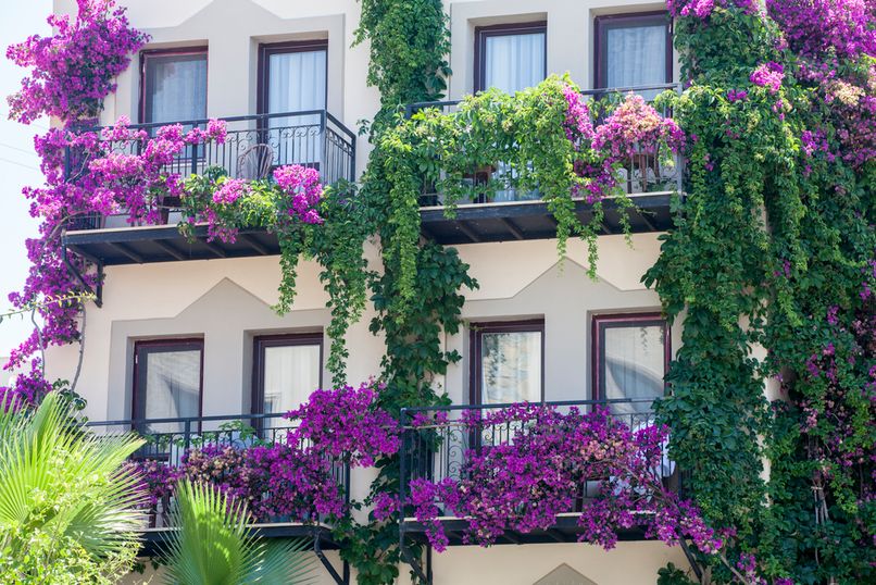 Golden Age Crystal Bodrum - 3