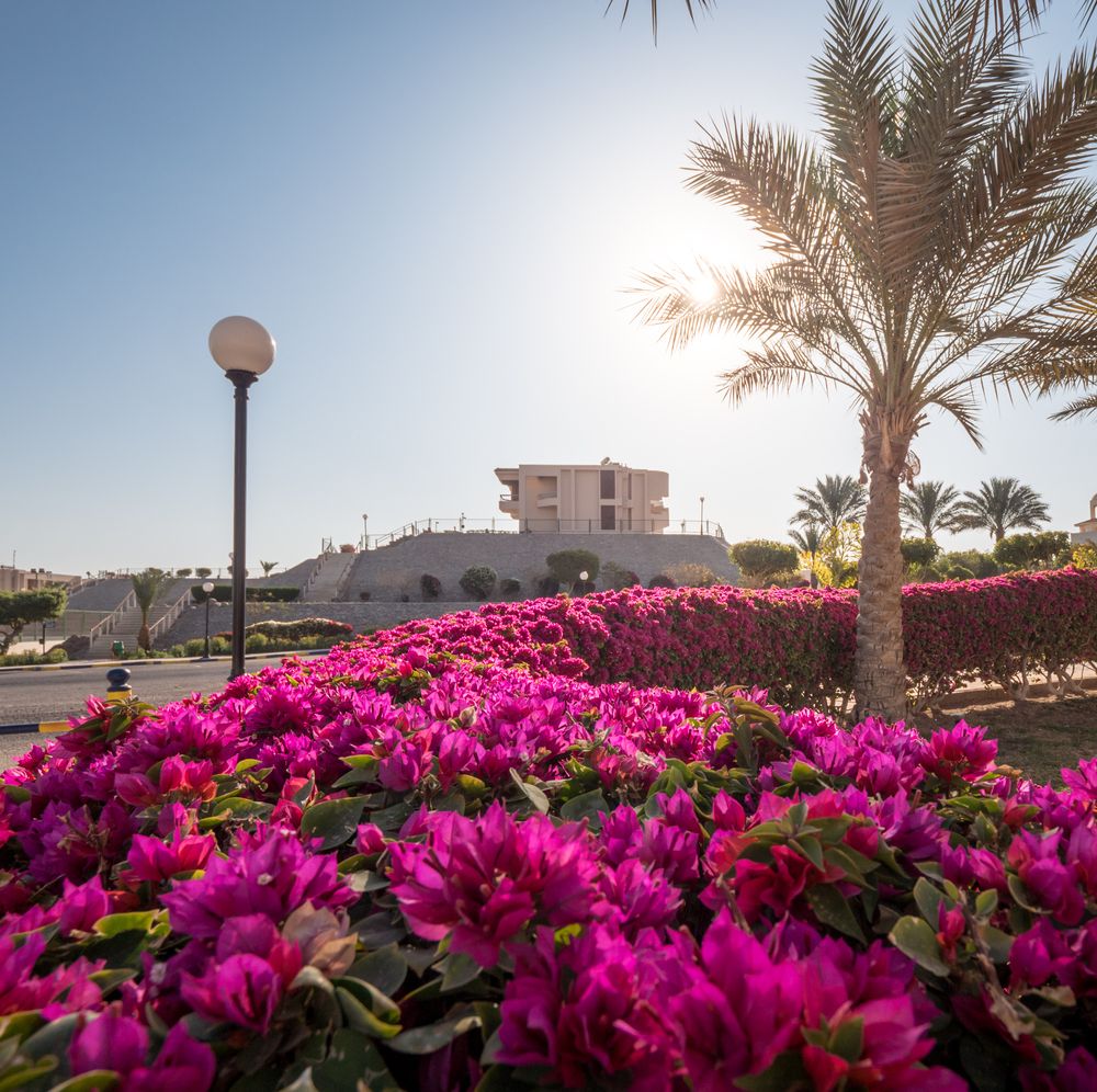 HURGHADA LONG BEACH RESORT - 103