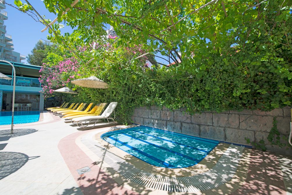 Картинка отеля - 15