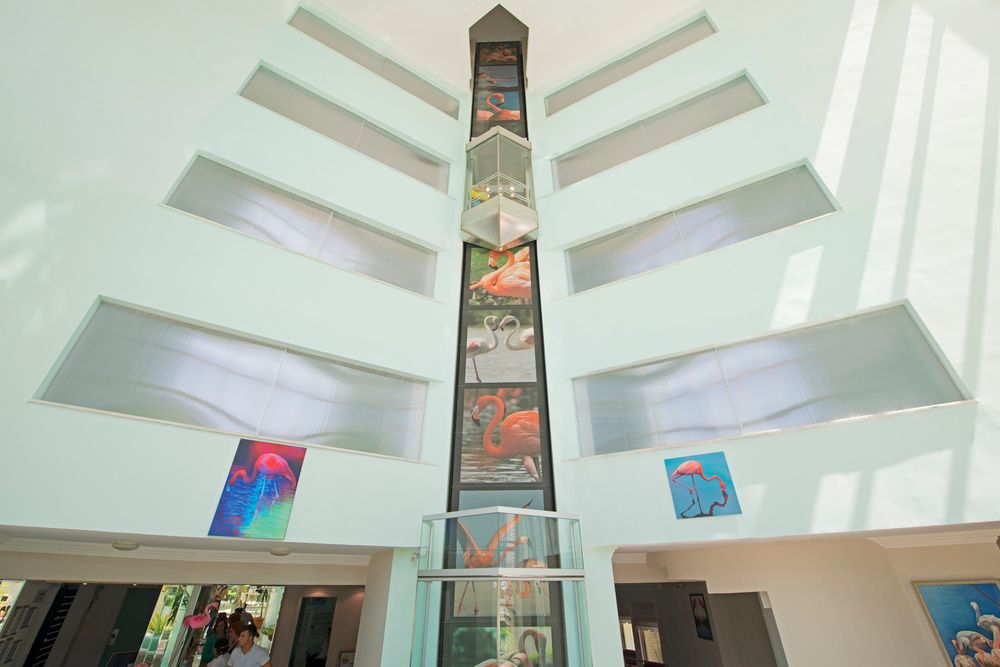 Картинка отеля - 19