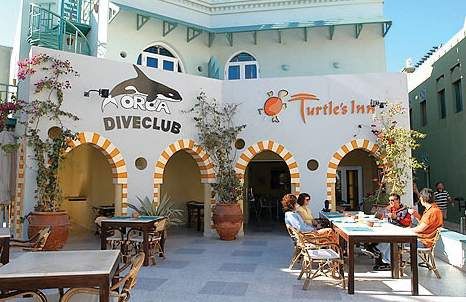 TURTLES INN - 1