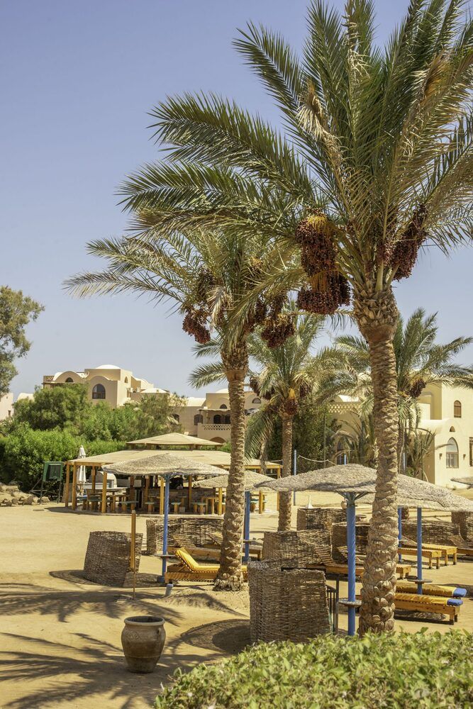 Картинка отеля - 6