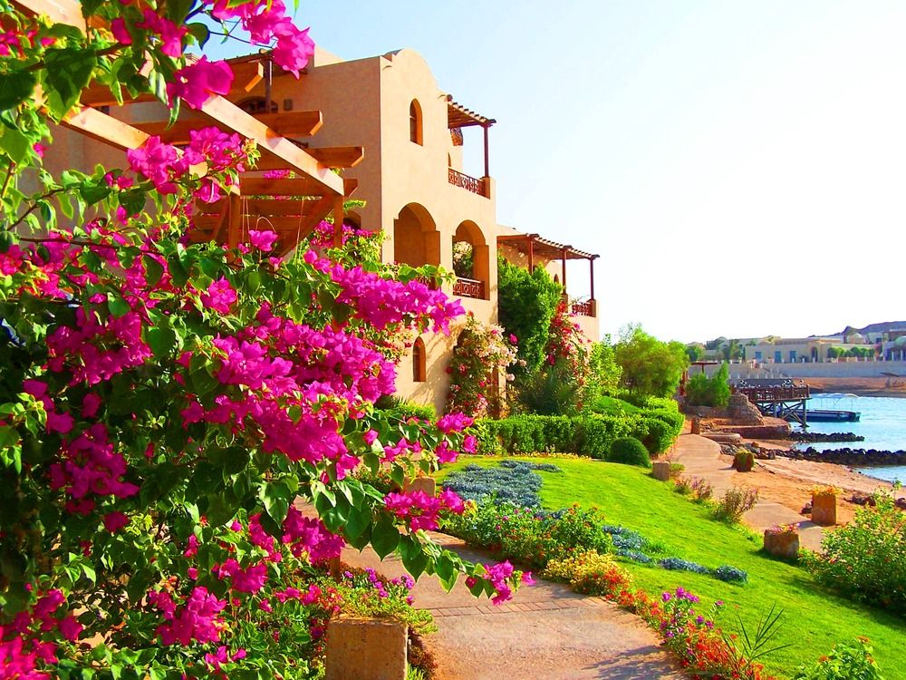 Картинка отеля - 14