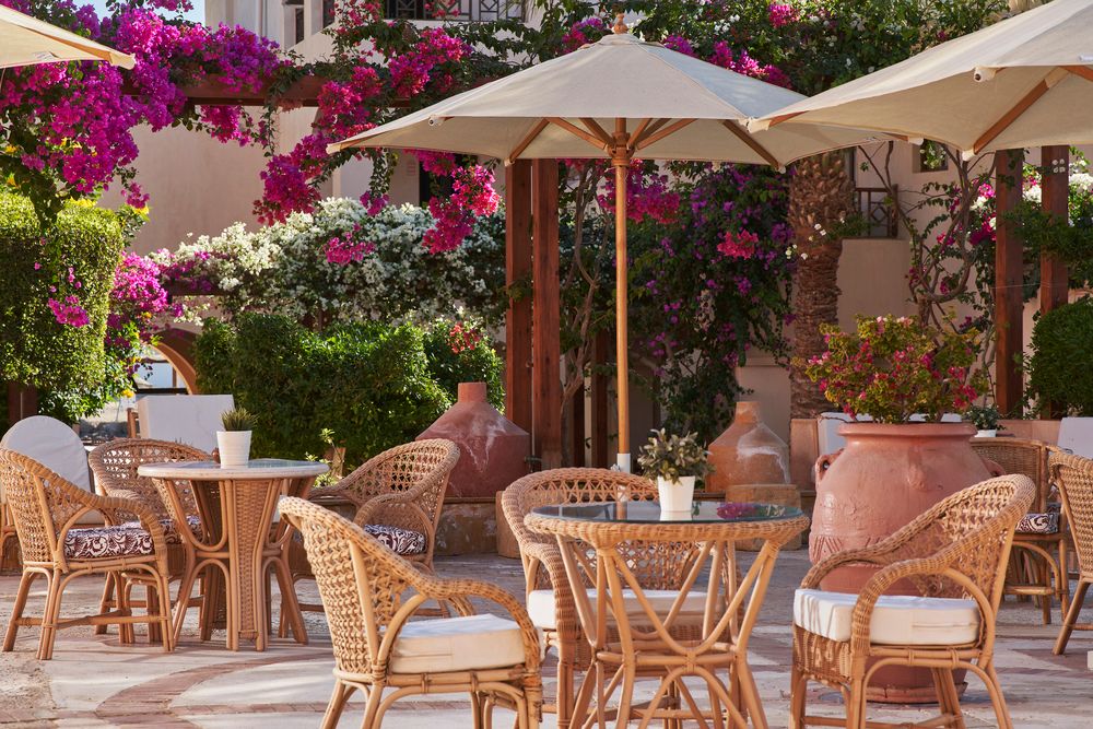 Картинка отеля - 13