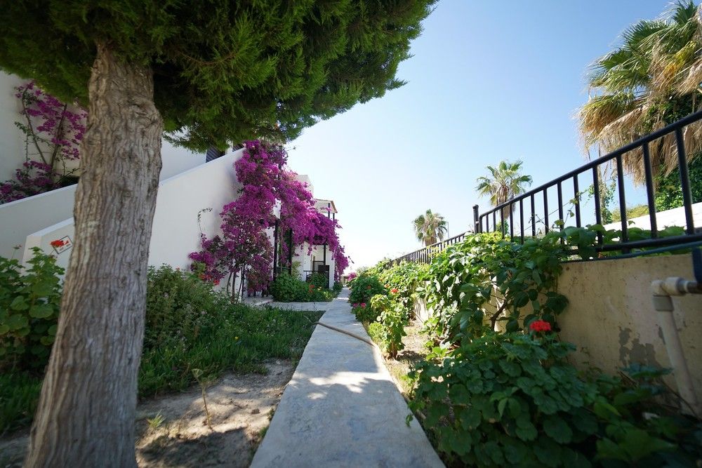 Salinas Beach Hotel Bodrum - 59