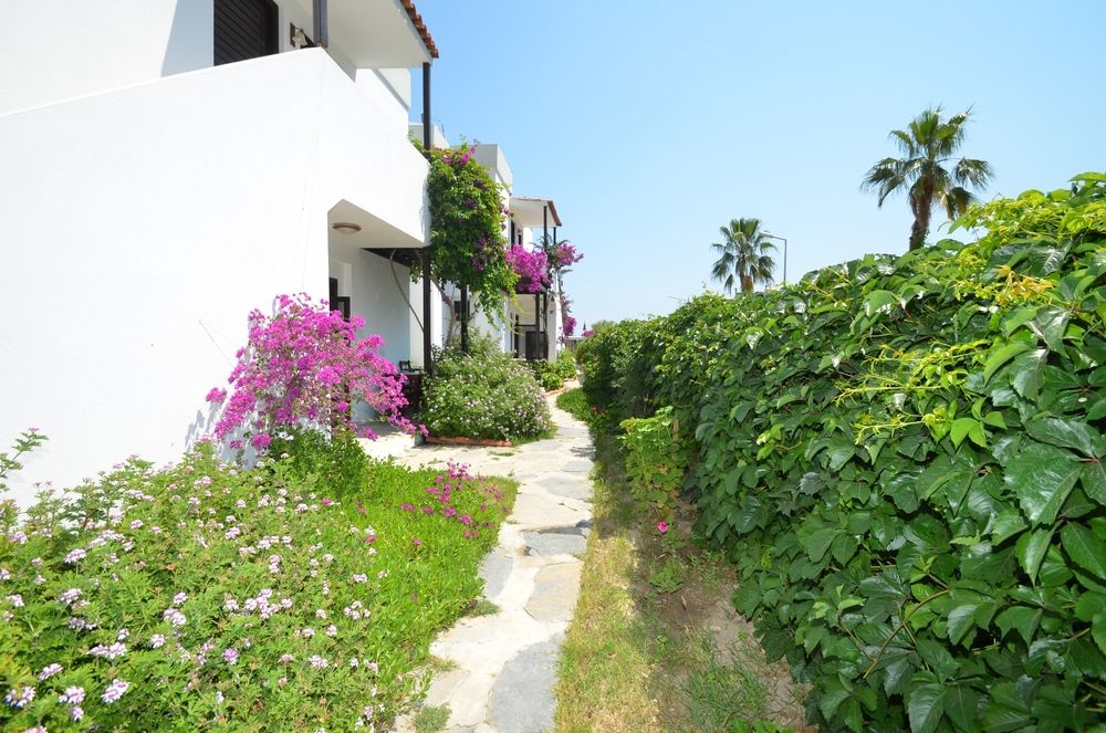 Salinas Beach Hotel Bodrum - 38