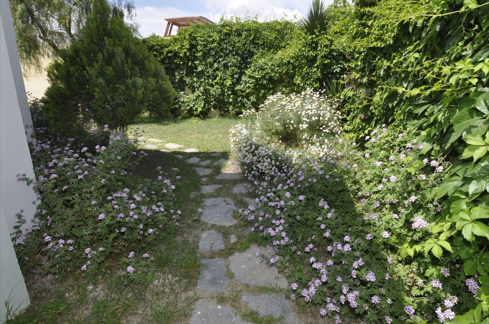 Картинка отеля - 9