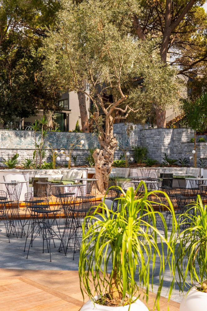 Картинка отеля - 34