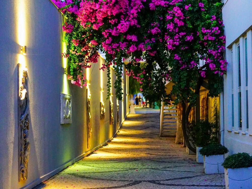 Blue Dreams Resort & Spa - 12