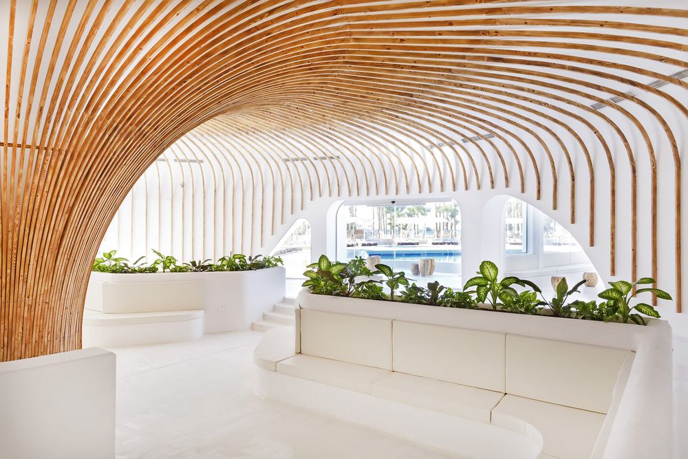 SUNRISE MERAKI RESORT (only adults 16+) - 15