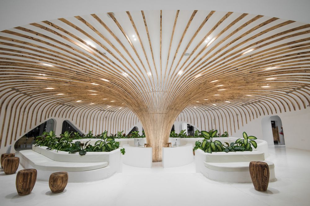 Картинка отеля - 14