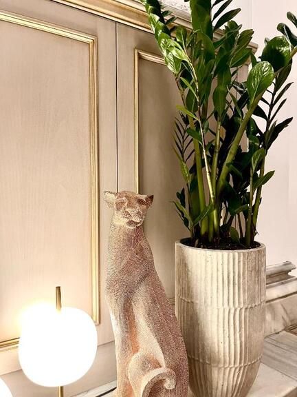 Картинка отеля - 5