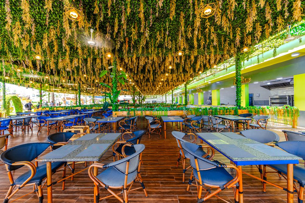 Картинка отеля - 55