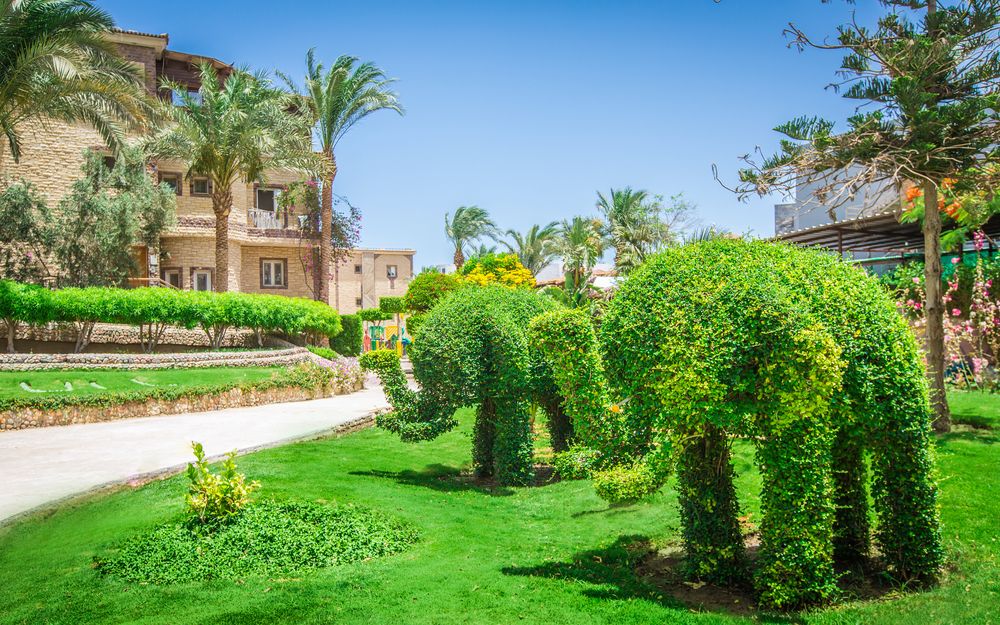 SEAGULL BEACH RESORT - 7