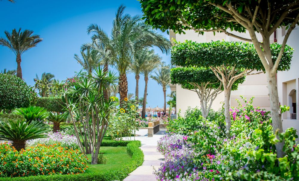 SEAGULL BEACH RESORT - 6