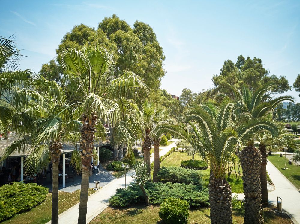 Картинка отеля - 28