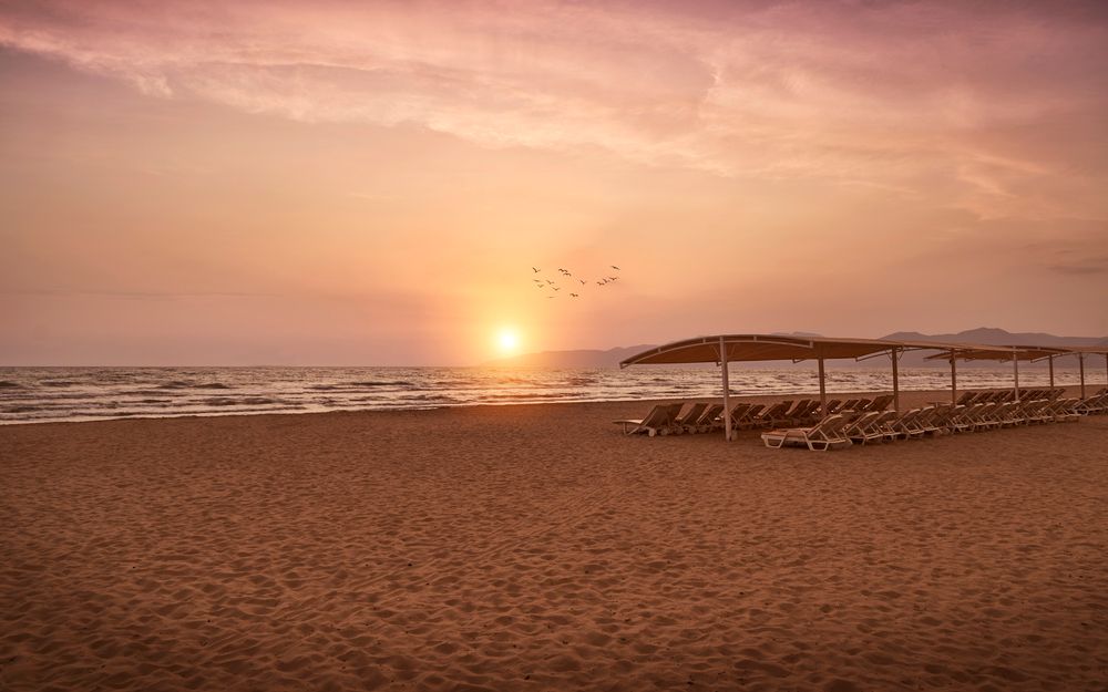 Картинка отеля - 14