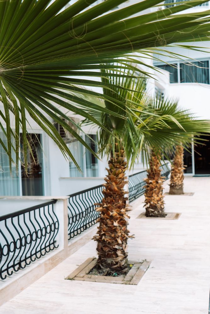 Elite Life Hotel - 29