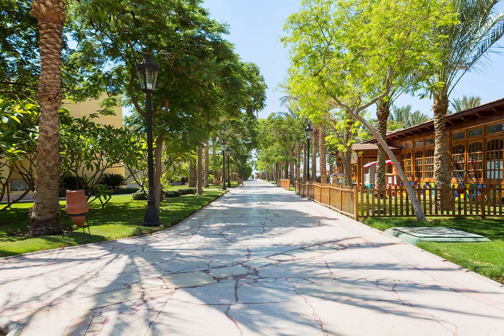 Картинка отеля - 36