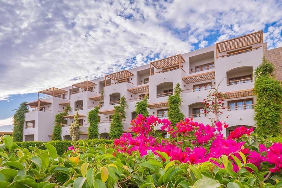 Картинка отеля - 6