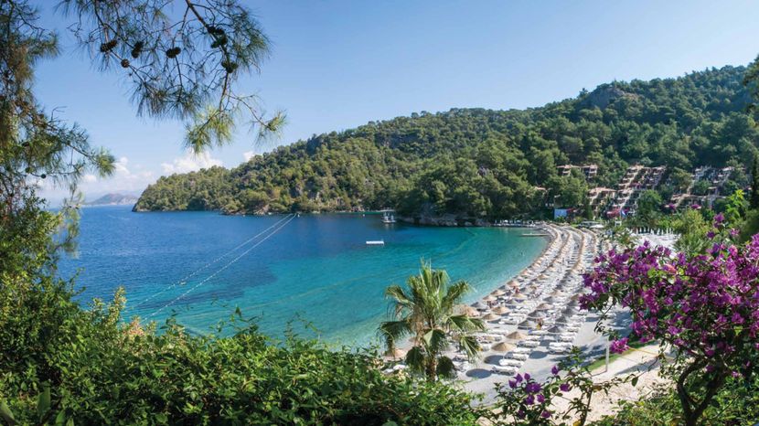 Hillside Beach Club - 3