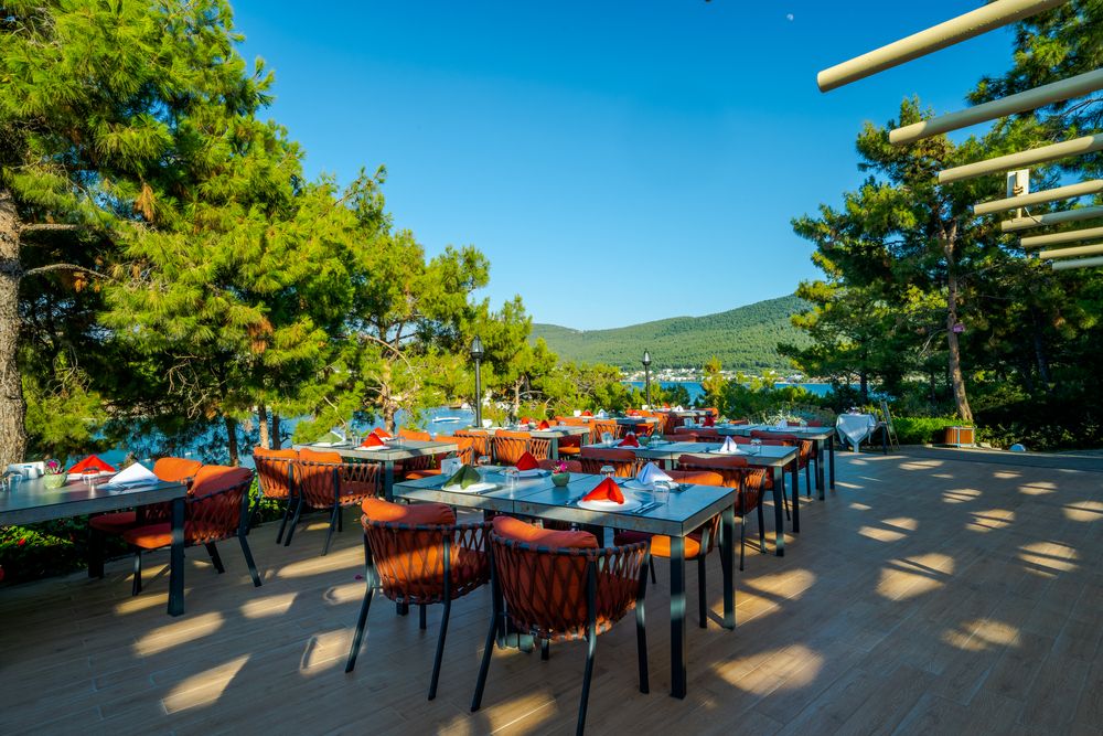 Картинка отеля - 23