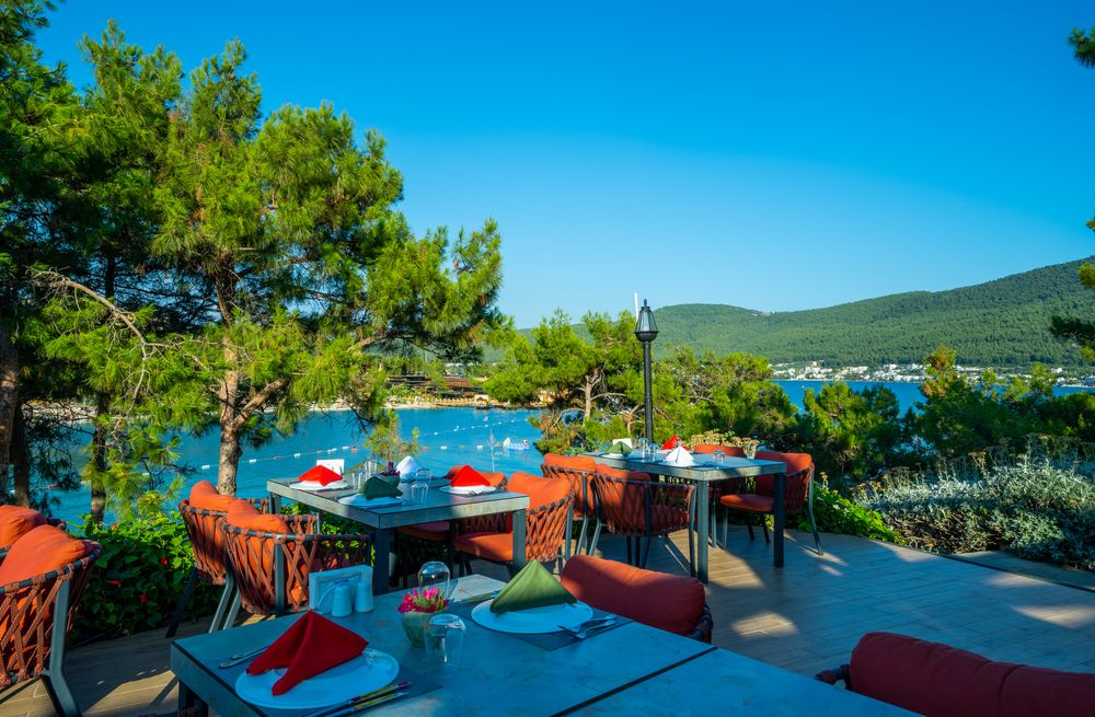 Картинка отеля - 22